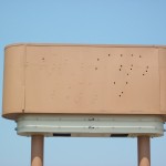 Martinsville Pylon Survey